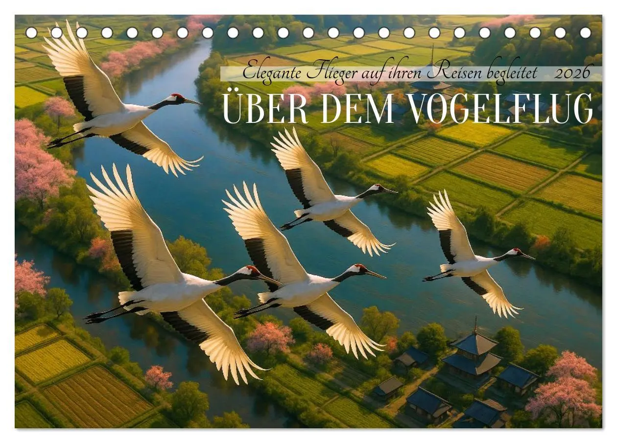 Cover: 9783516605822 | Über dem Vogelflug (Tischkalender 2026 DIN A5 quer), CALVENDO...