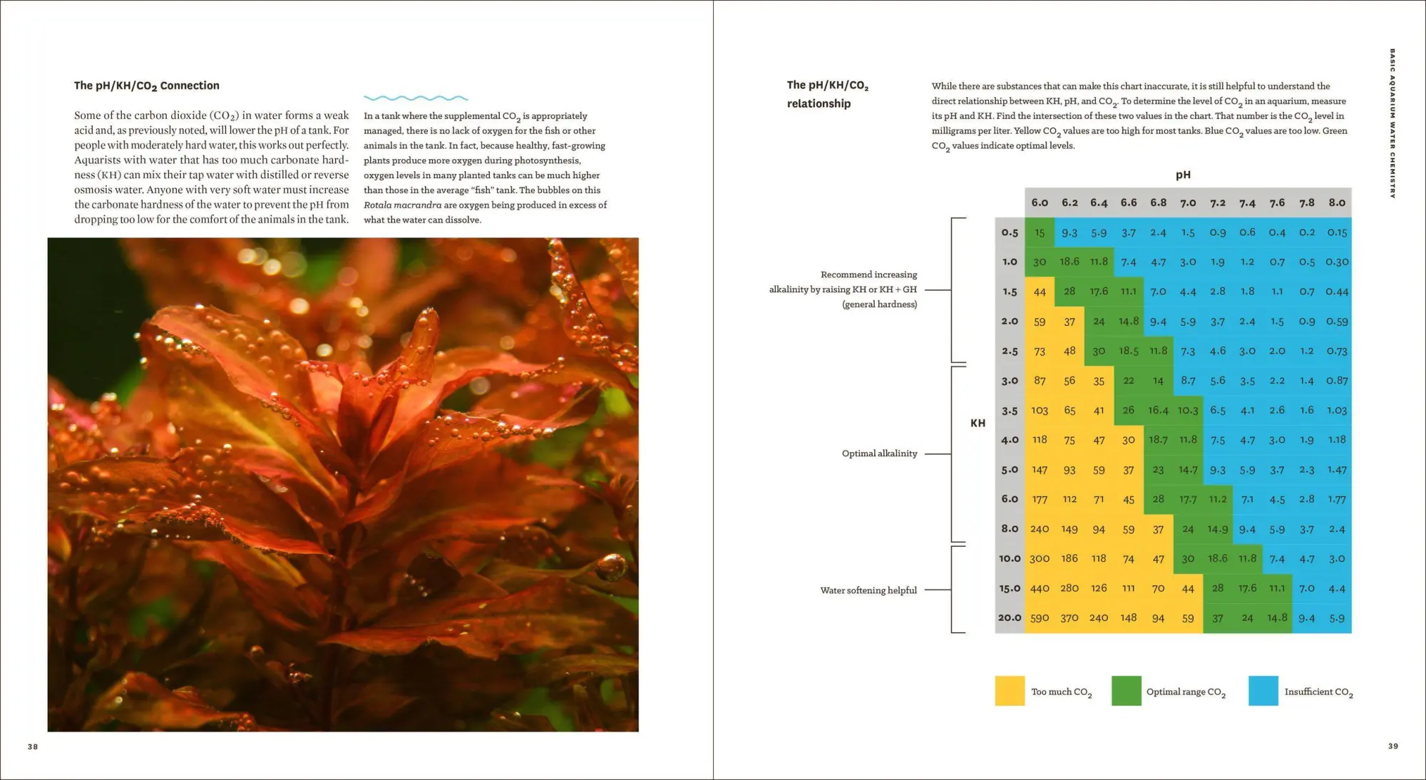 Bild: 9781604695922 | Sunken Gardens | A Step-By-Step Guide to Planting Freshwater Aquariums