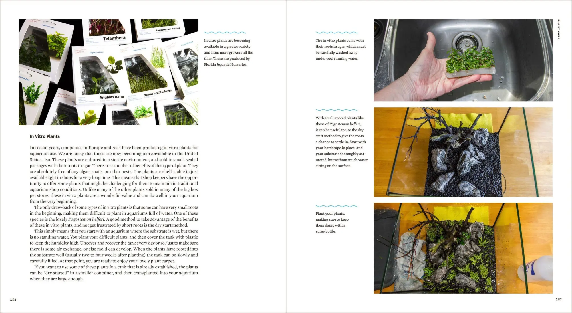 Bild: 9781604695922 | Sunken Gardens | A Step-By-Step Guide to Planting Freshwater Aquariums