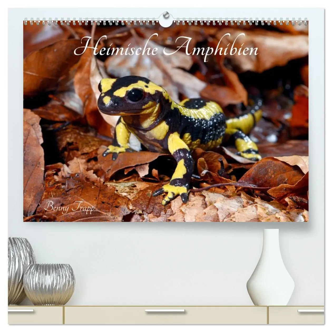 Cover: 9783457675922 | Heimische Amphibien (hochwertiger Premium Wandkalender 2026 DIN A2...