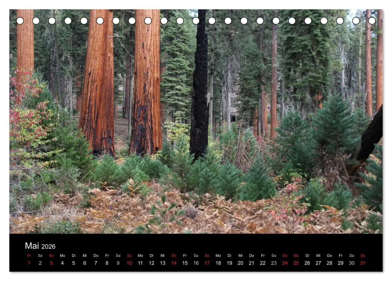 Bild: 9783516075922 | Kalifornien 2026 (Tischkalender 2026 DIN A5 quer), CALVENDO...