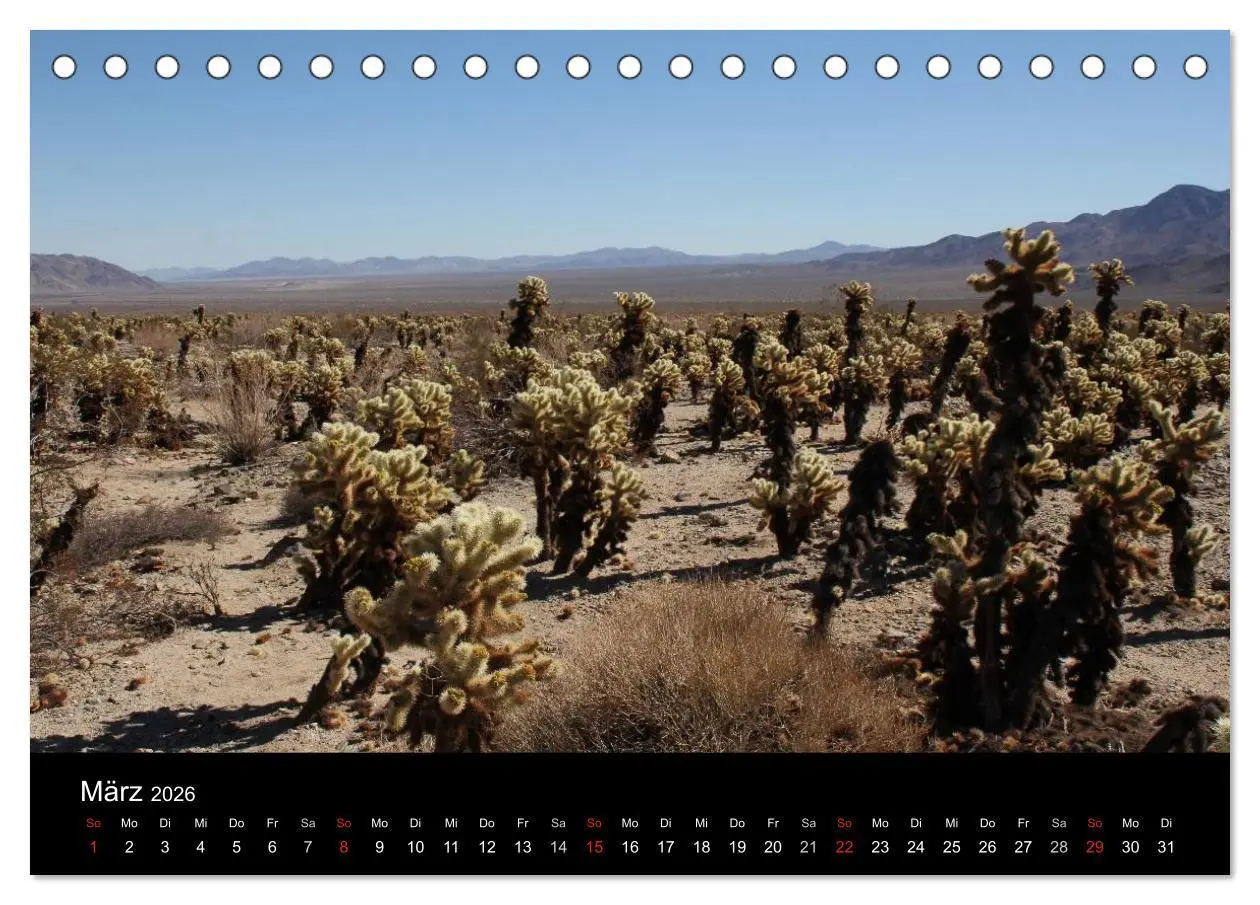Bild: 9783516075922 | Kalifornien 2026 (Tischkalender 2026 DIN A5 quer), CALVENDO...