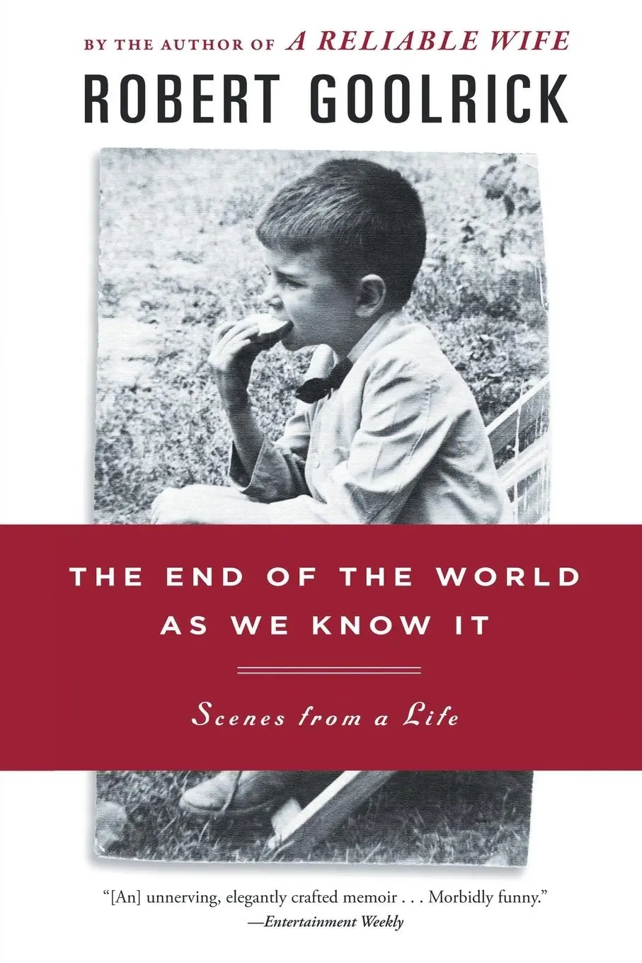 Cover: 9781565126022 | The End of the World as We Know It | Scenes from a Life | Goolrick