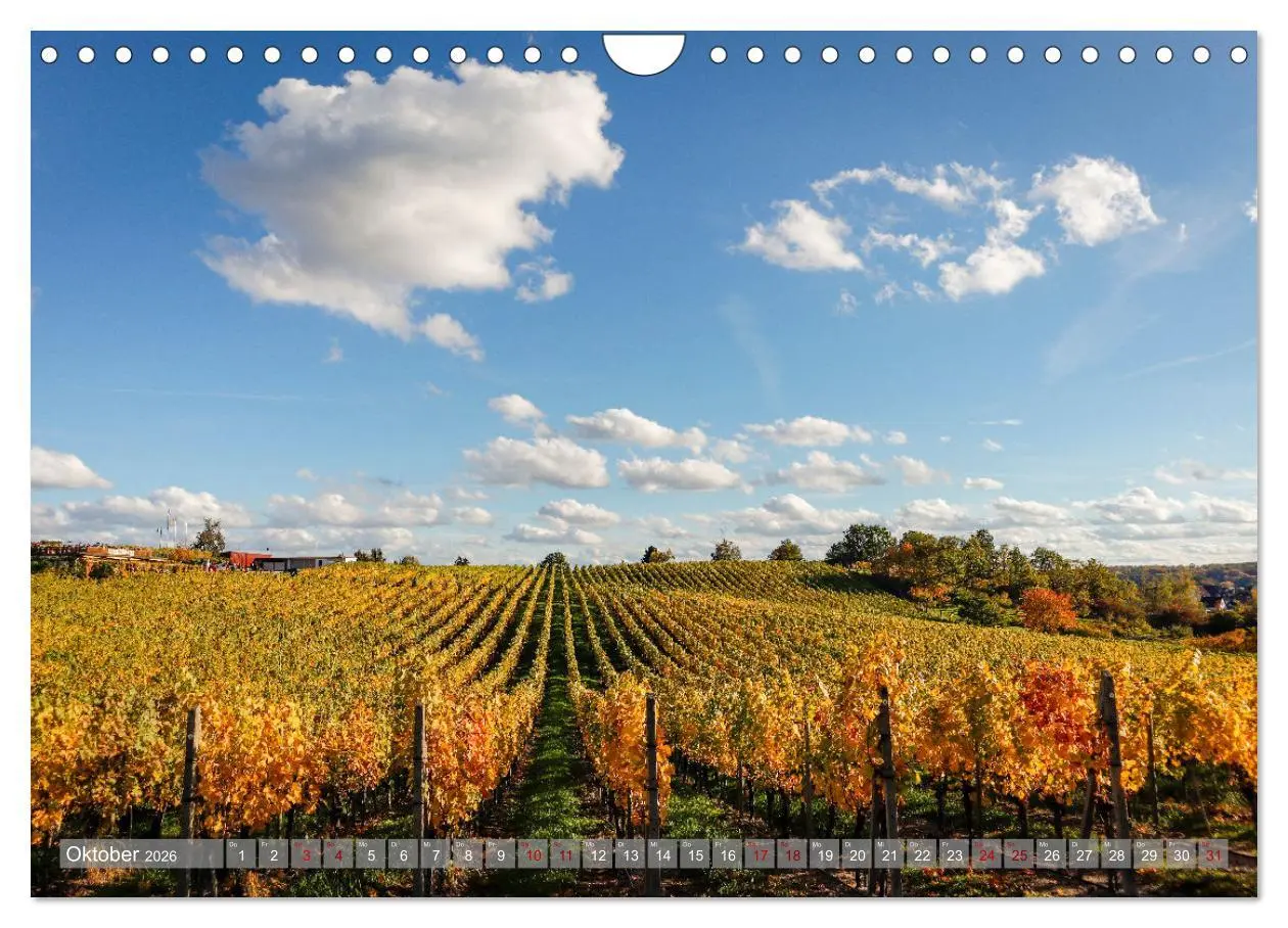 Bild: 9783457326022 | Werder - ein Kleinod an der Havel (Wandkalender 2026 DIN A4 quer),...