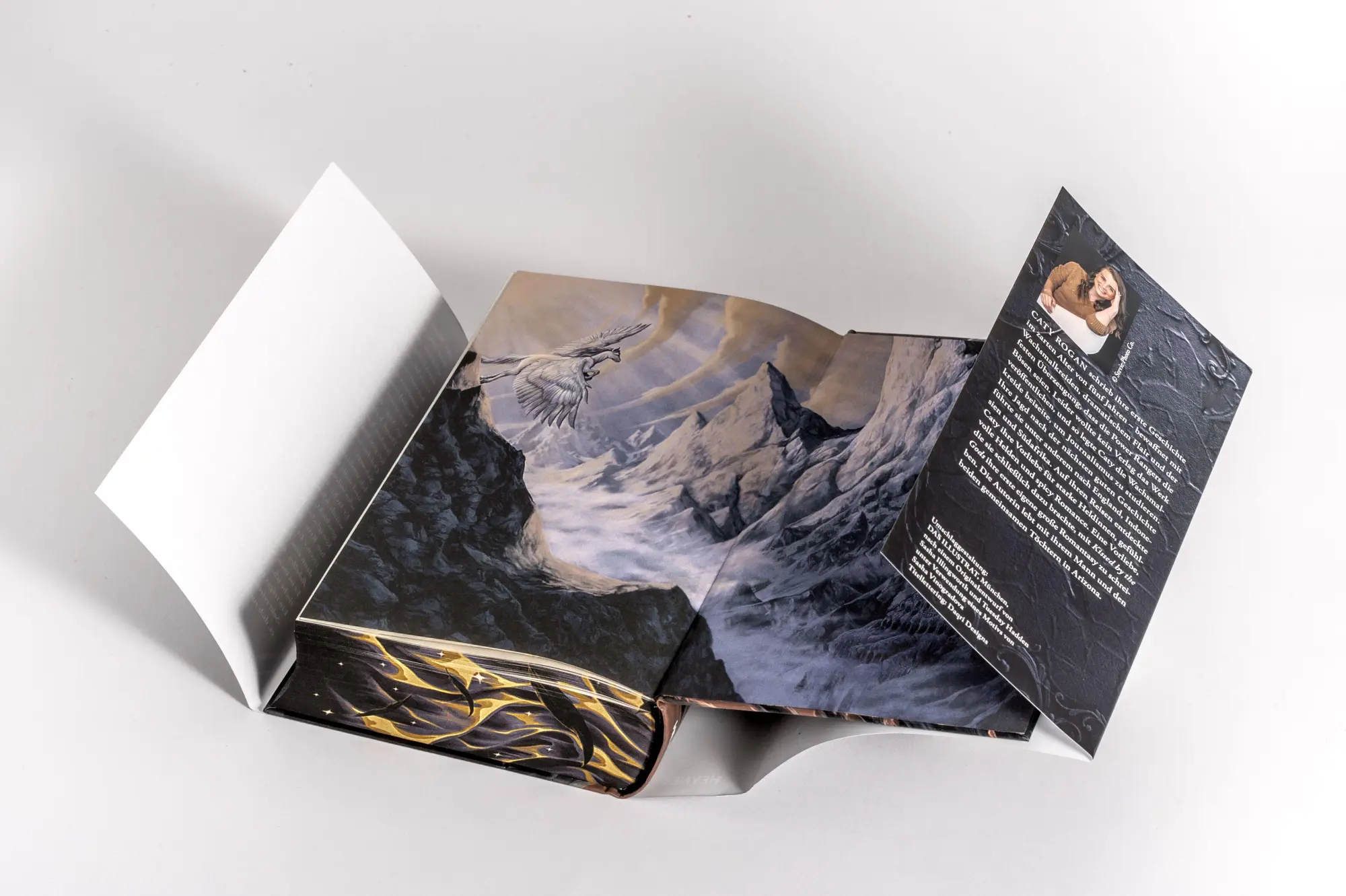 Bild: 9783453276222 | Kissed by the Gods - Die ewigen Kriege | Caty Rogan | Buch | 608 S.