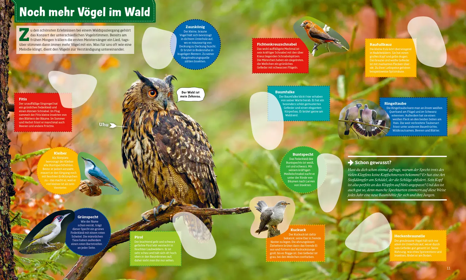 Bild: 9783788676322 | WAS IST WAS Stickerheft: Heimische Vögel | Co.KG | Broschüre | 32 S.