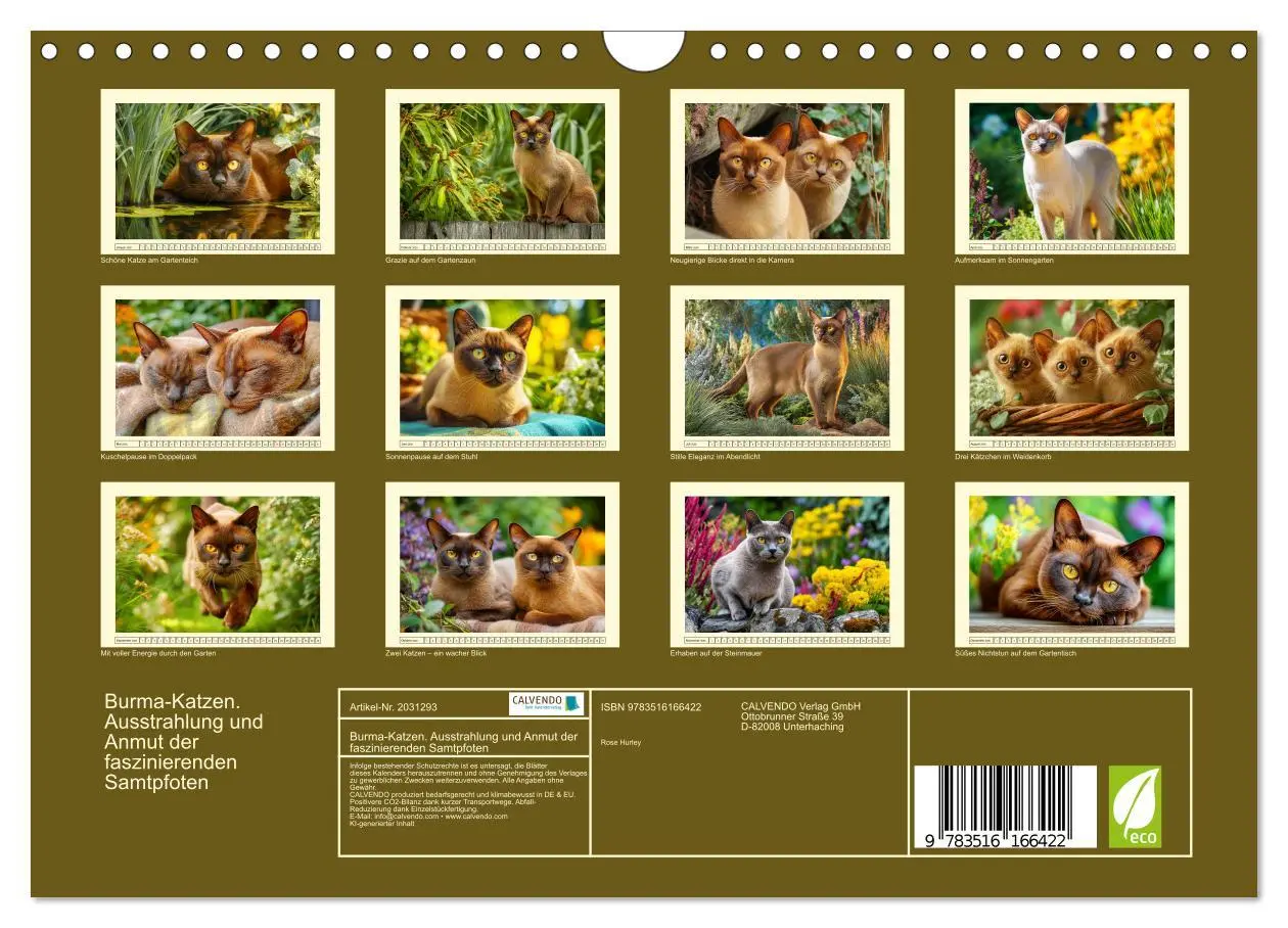 Bild: 9783516166422 | Burma-Katzen. Ausstrahlung und Anmut der faszinierenden Samtpfoten...
