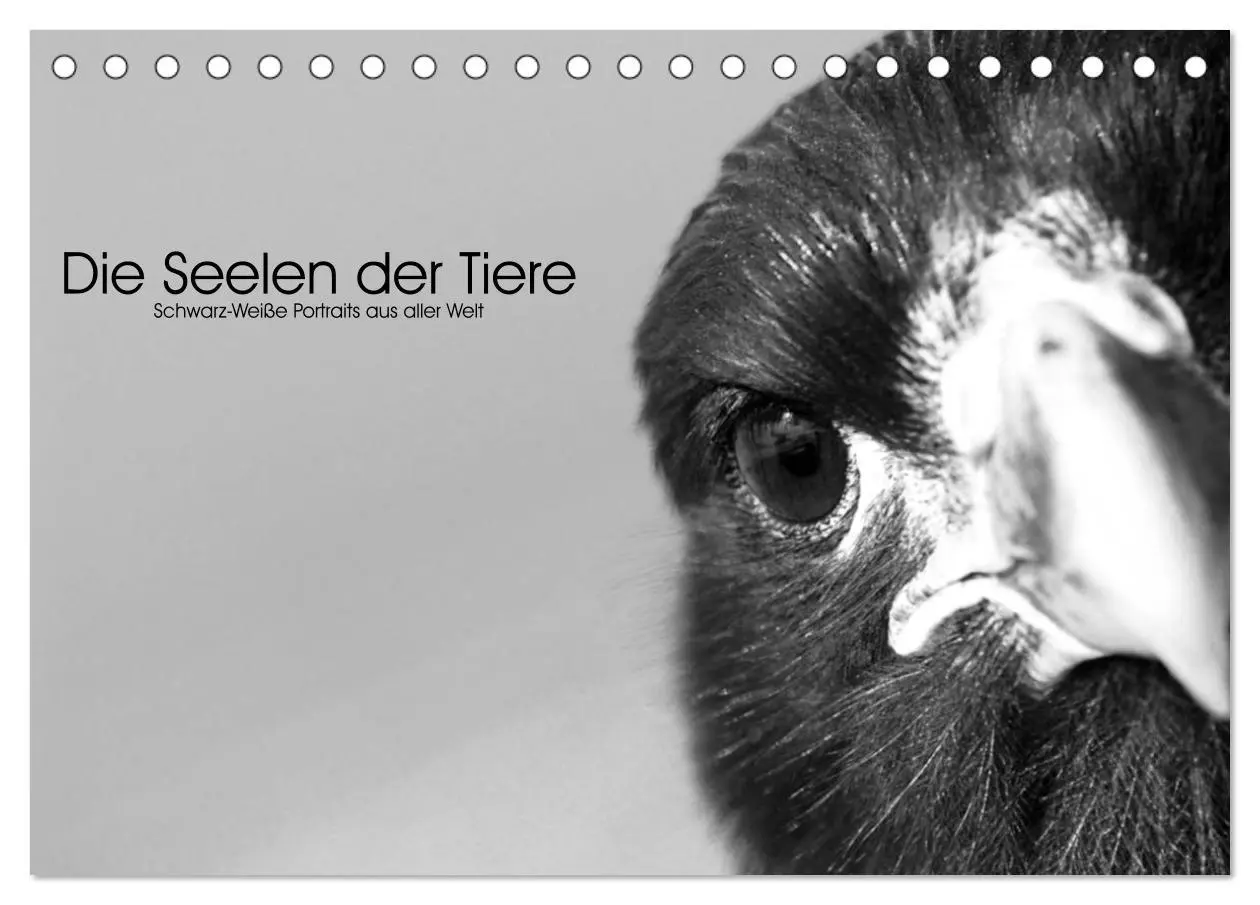 Cover: 9783457756522 | Die Seelen der wilden Tiere (Tischkalender 2026 DIN A5 quer),...