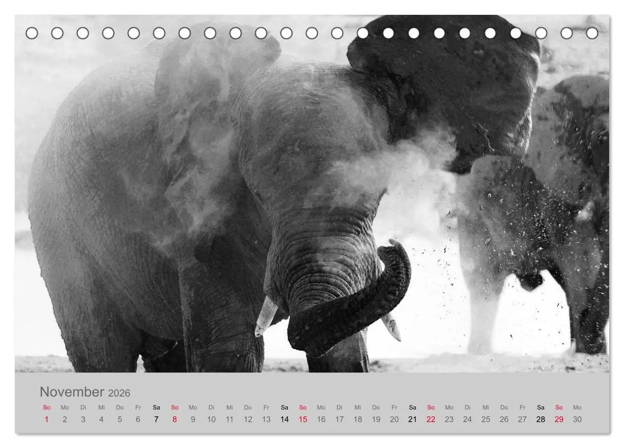 Bild: 9783457756522 | Die Seelen der wilden Tiere (Tischkalender 2026 DIN A5 quer),...