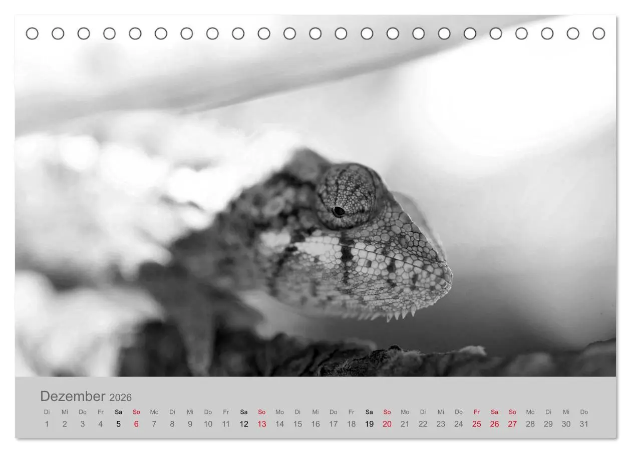 Bild: 9783457756522 | Die Seelen der wilden Tiere (Tischkalender 2026 DIN A5 quer),...