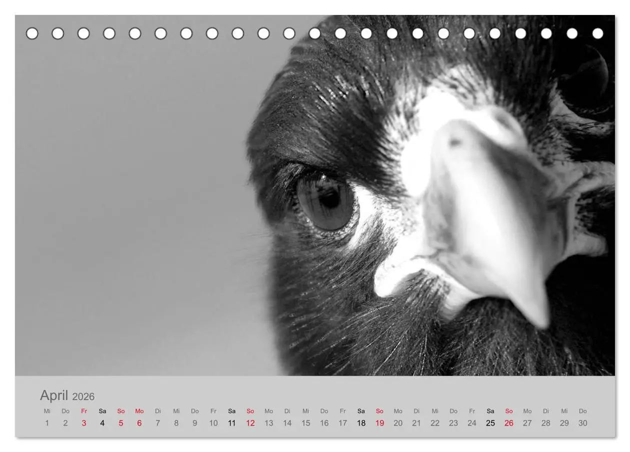 Bild: 9783457756522 | Die Seelen der wilden Tiere (Tischkalender 2026 DIN A5 quer),...