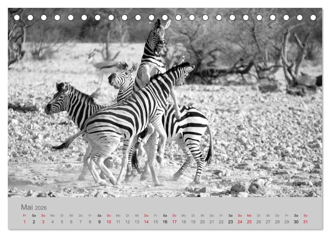 Bild: 9783457756522 | Die Seelen der wilden Tiere (Tischkalender 2026 DIN A5 quer),...
