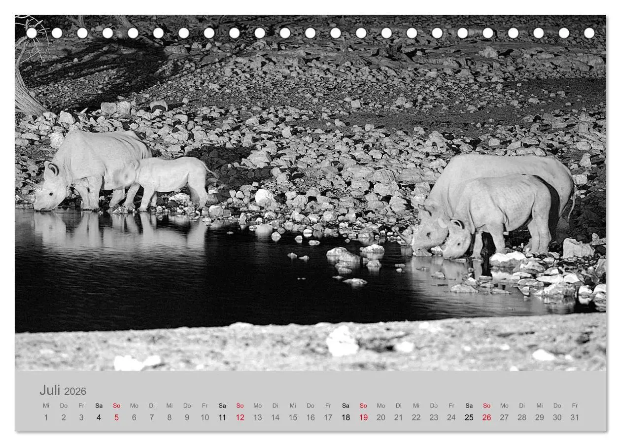 Bild: 9783457756522 | Die Seelen der wilden Tiere (Tischkalender 2026 DIN A5 quer),...