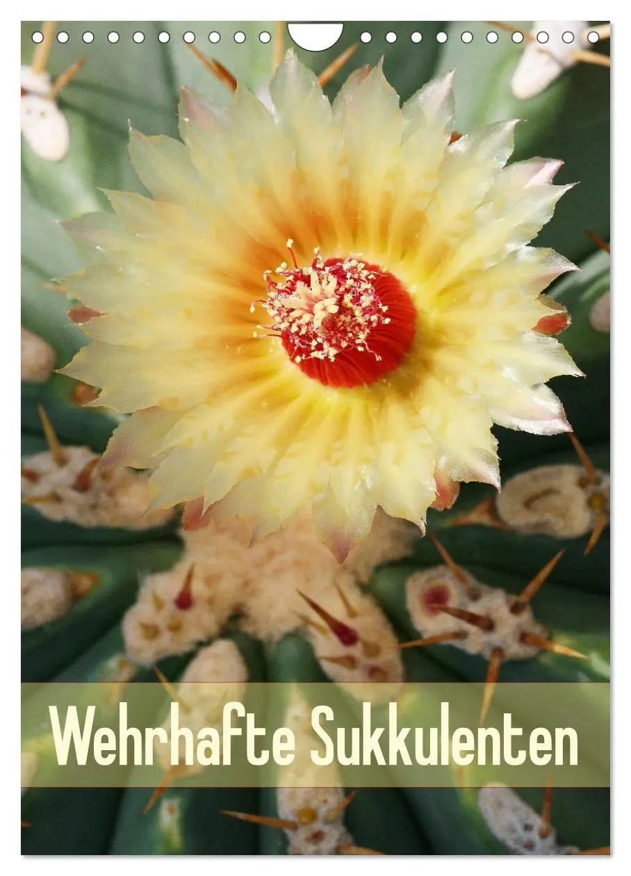 Cover: 9783516396522 | Wehrhafte Sukkulenten (Wandkalender 2026 DIN A4 hoch), CALVENDO...