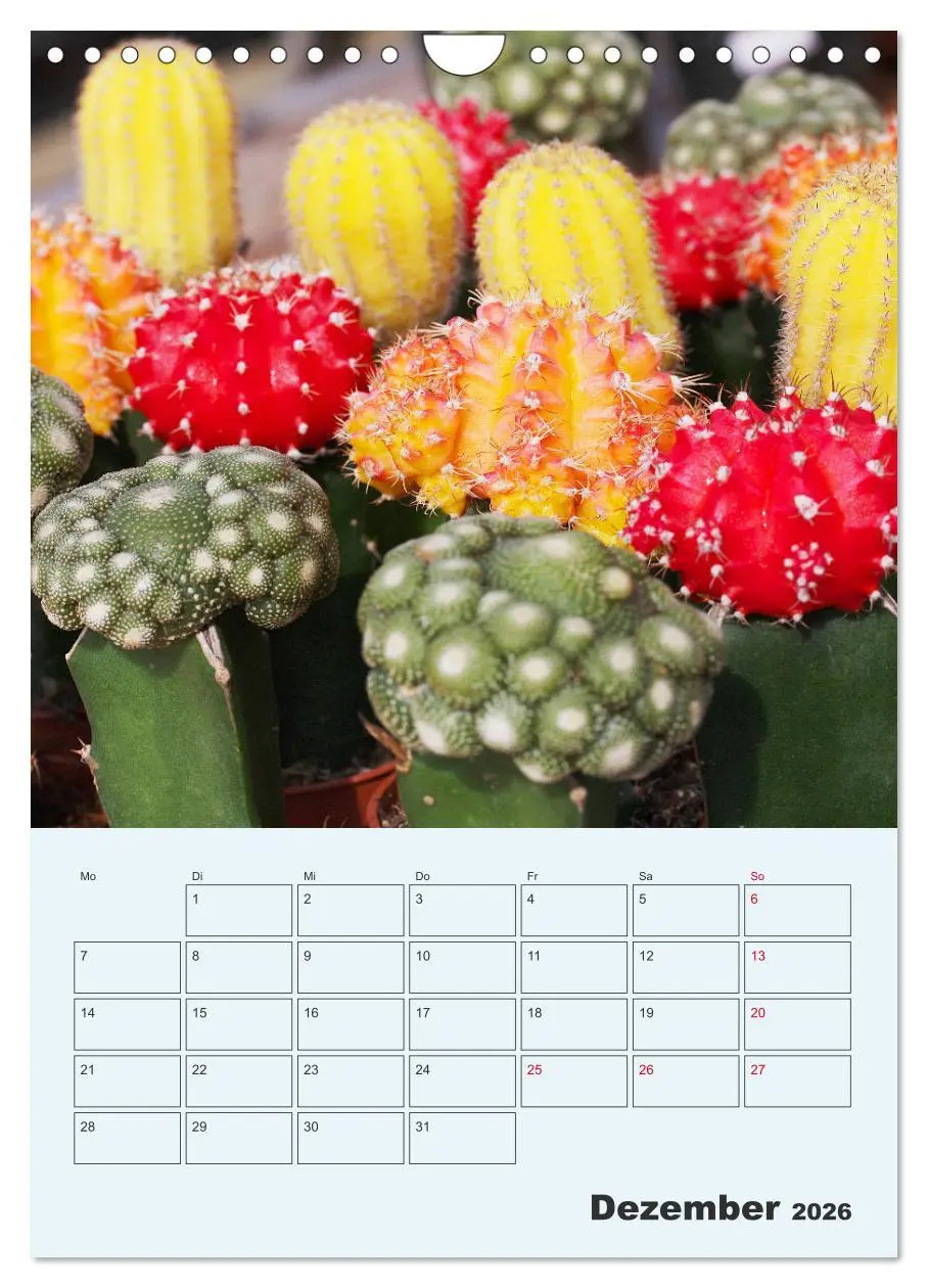 Bild: 9783516396522 | Wehrhafte Sukkulenten (Wandkalender 2026 DIN A4 hoch), CALVENDO...