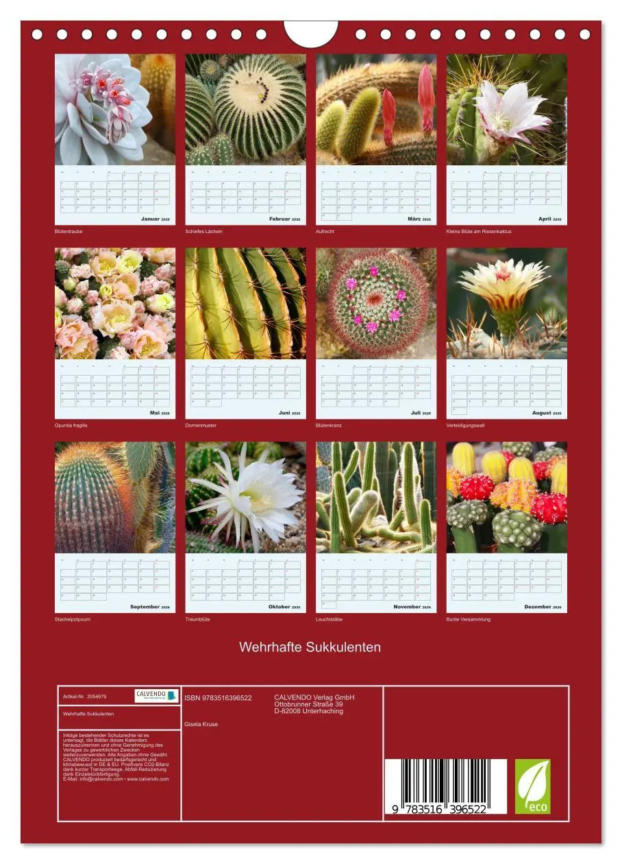 Bild: 9783516396522 | Wehrhafte Sukkulenten (Wandkalender 2026 DIN A4 hoch), CALVENDO...