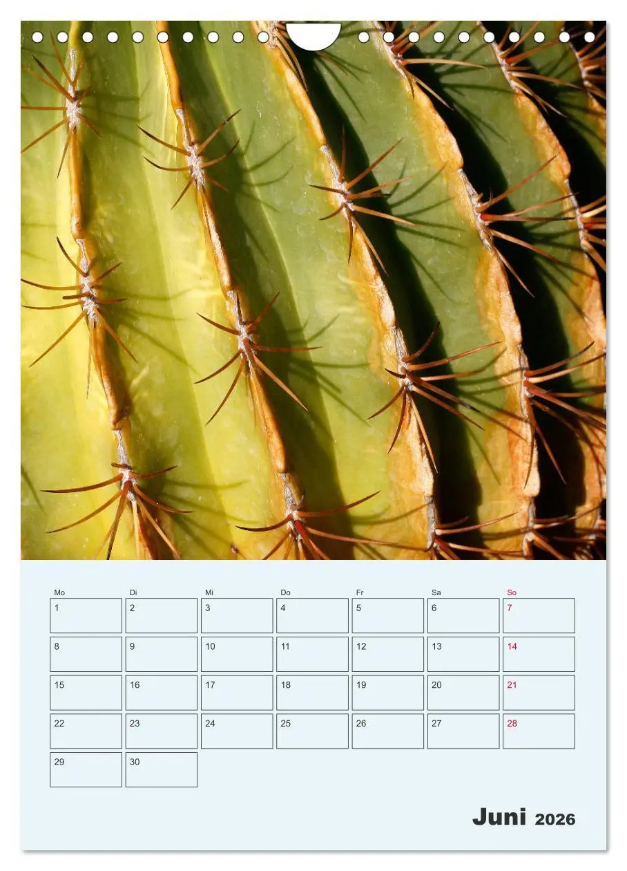 Bild: 9783516396522 | Wehrhafte Sukkulenten (Wandkalender 2026 DIN A4 hoch), CALVENDO...
