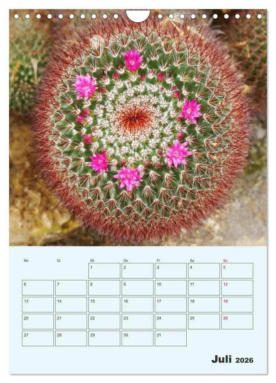 Bild: 9783516396522 | Wehrhafte Sukkulenten (Wandkalender 2026 DIN A4 hoch), CALVENDO...