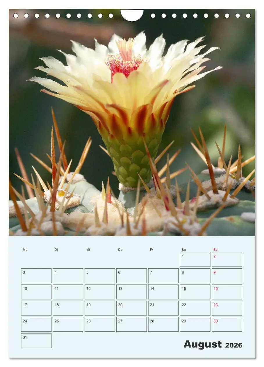 Bild: 9783516396522 | Wehrhafte Sukkulenten (Wandkalender 2026 DIN A4 hoch), CALVENDO...