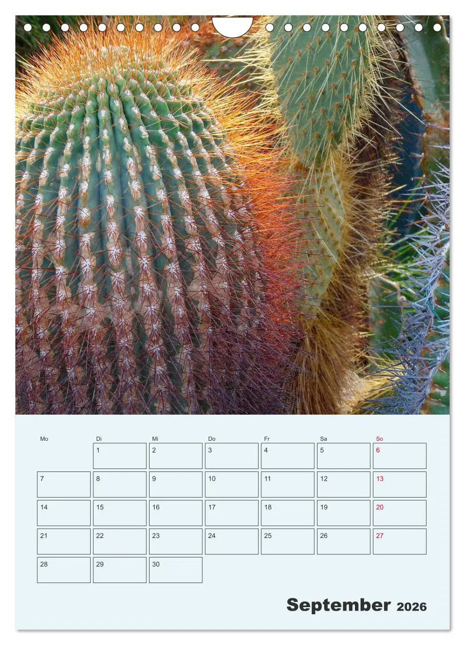 Bild: 9783516396522 | Wehrhafte Sukkulenten (Wandkalender 2026 DIN A4 hoch), CALVENDO...