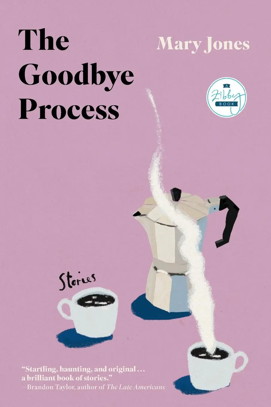Cover: 9781958506622 | The Goodbye Process | Stories | Mary Jones | Taschenbuch | Englisch