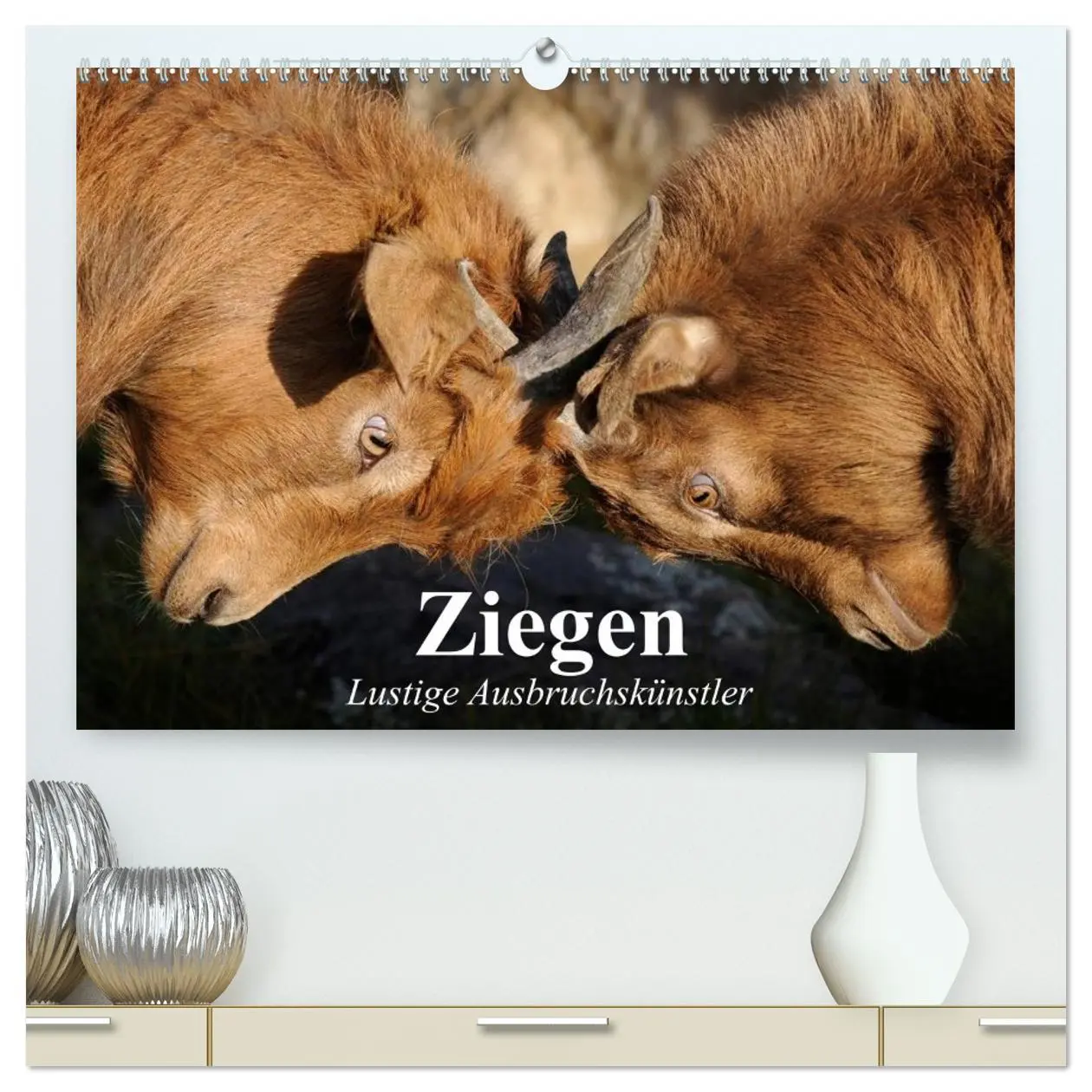 Cover: 9783457986622 | Ziegen. Lustige Ausbruchskünstler (hochwertiger Premium...