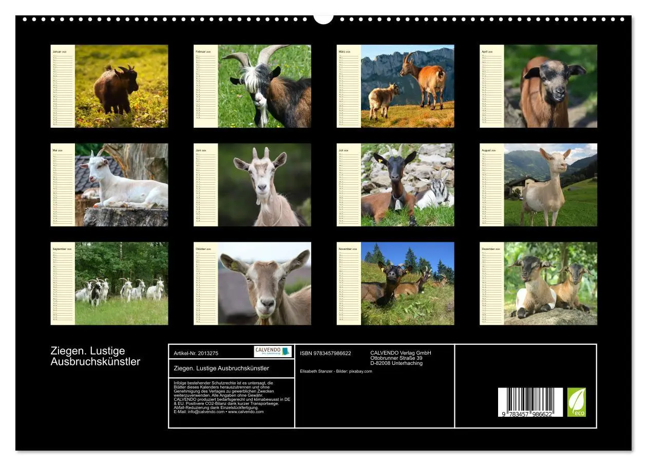 Bild: 9783457986622 | Ziegen. Lustige Ausbruchskünstler (hochwertiger Premium...