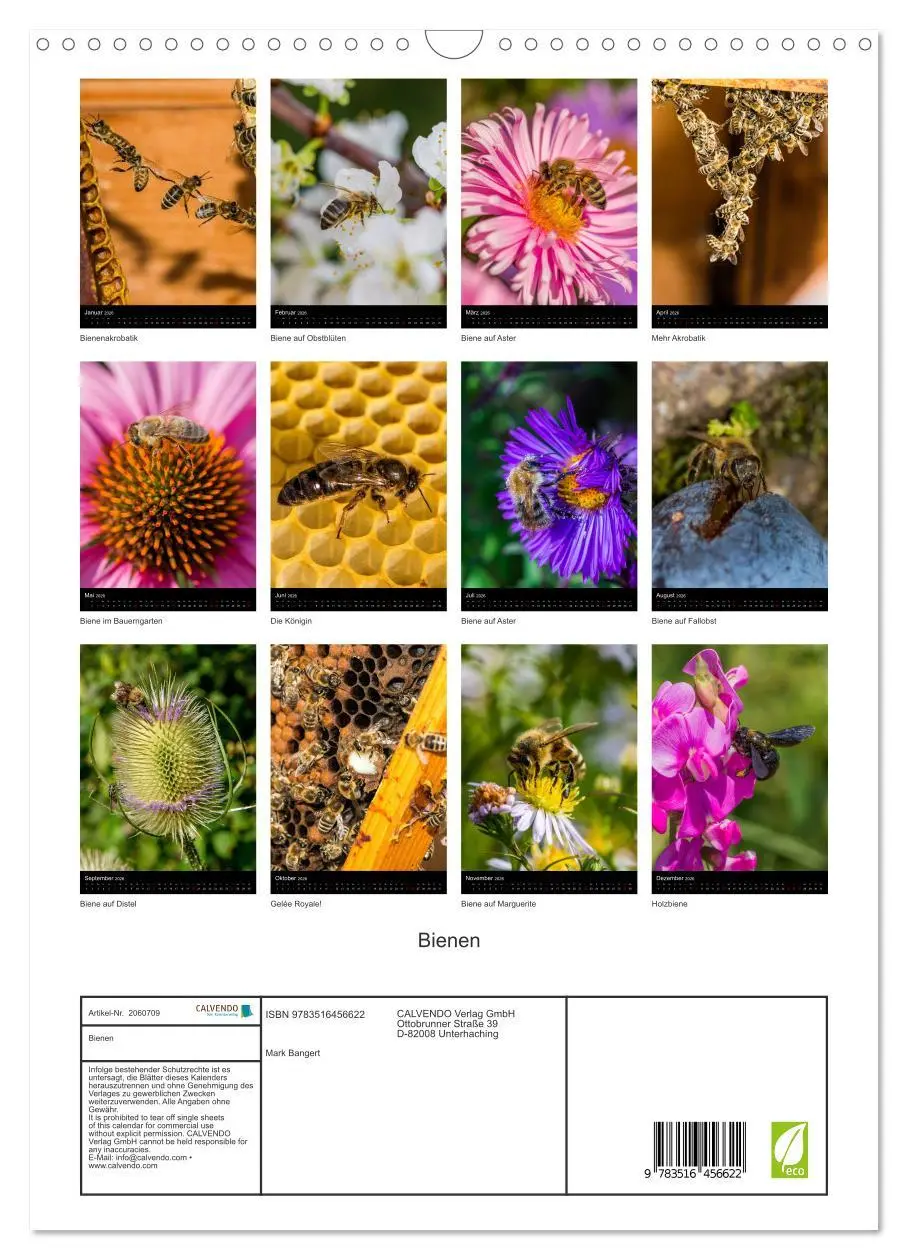 Bild: 9783516456622 | Bienen (Wandkalender 2026 DIN A3 hoch), CALVENDO Monatskalender | 2026