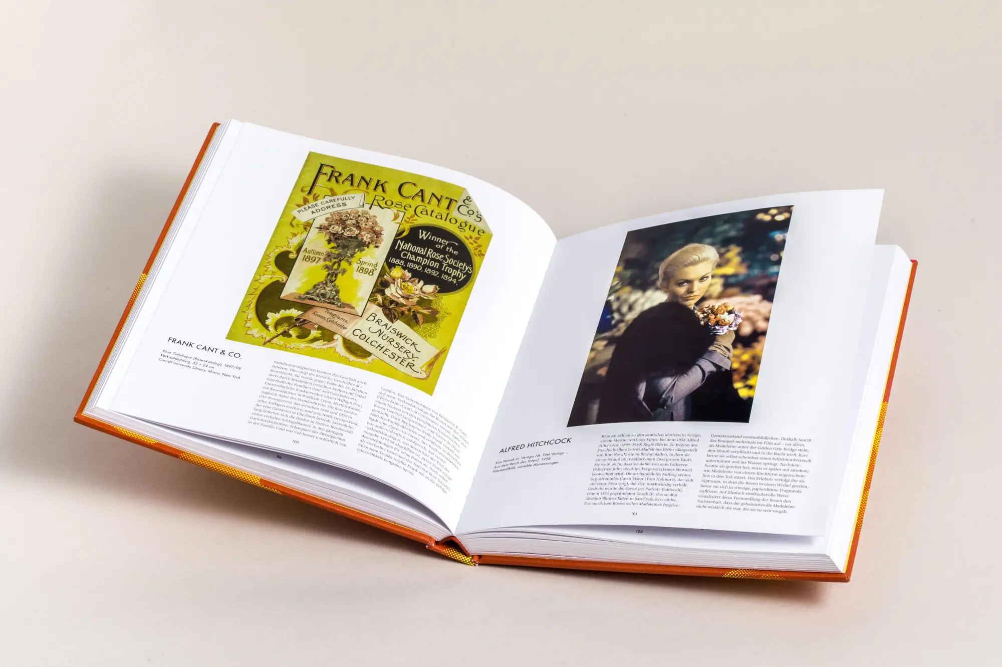 Bild: 9783791376622 | Die Rose | Buch | 248 S. | Deutsch | 2025 | Prestel