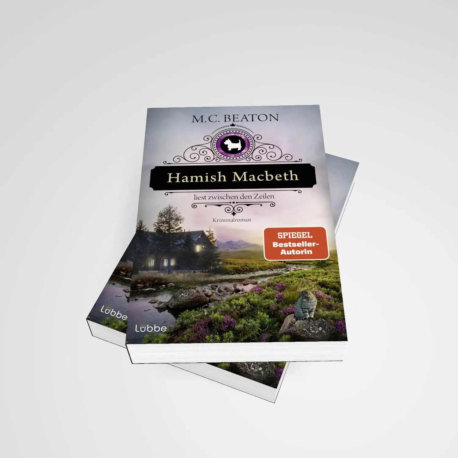 Bild: 9783404196722 | Hamish Macbeth liest zwischen den Zeilen | M. C. Beaton | Taschenbuch