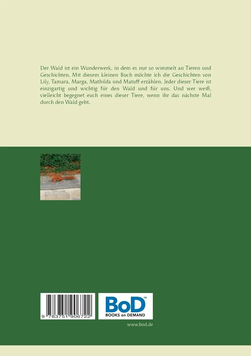Rückseite: 9783751906722 | Waldgeschichten | Schau auf die kleinen Wunder im Wald | Heike Boeke