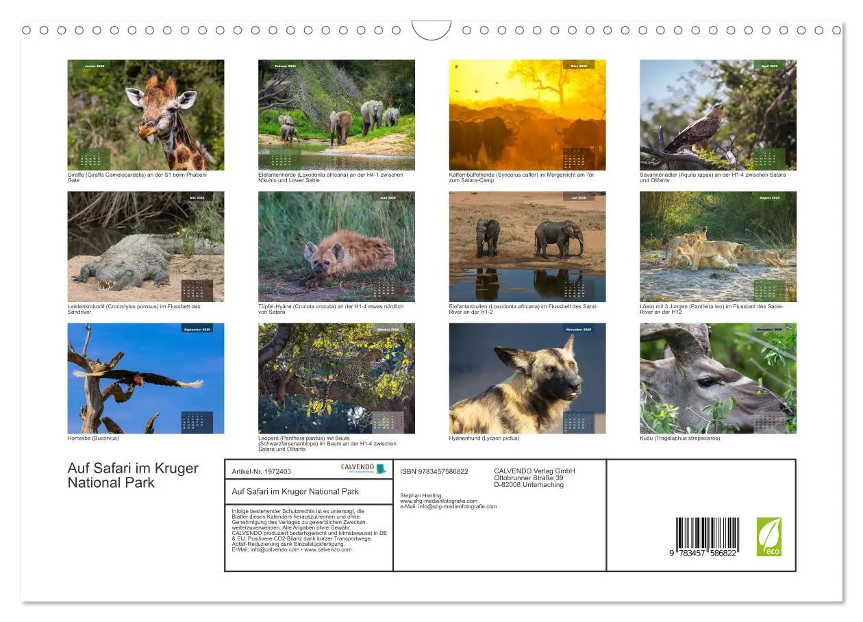 Bild: 9783457586822 | Auf Safari im Kruger National Park (Wandkalender 2026 DIN A3 quer),...