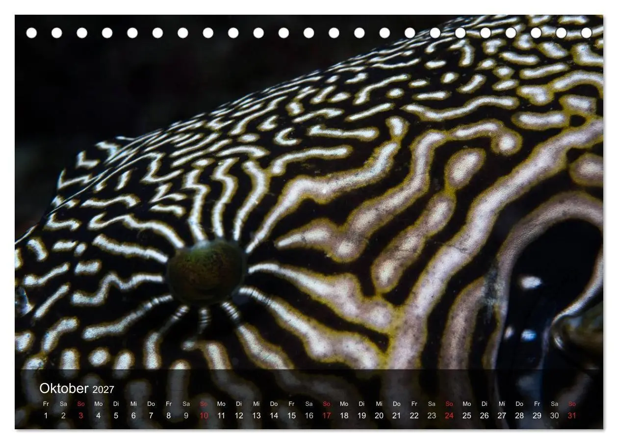 Bild: 9783594106822 | Unterwasser Strukuren (Tischkalender 2027 DIN A5 quer), CALVENDO...