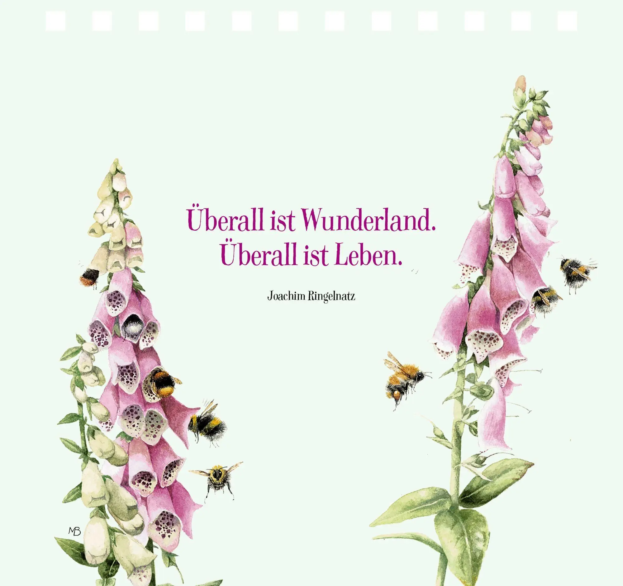 Bild: 9783649646822 | Sonne für jeden Tag | Marjolein Bastin | Taschenbuch | Spiralbindung