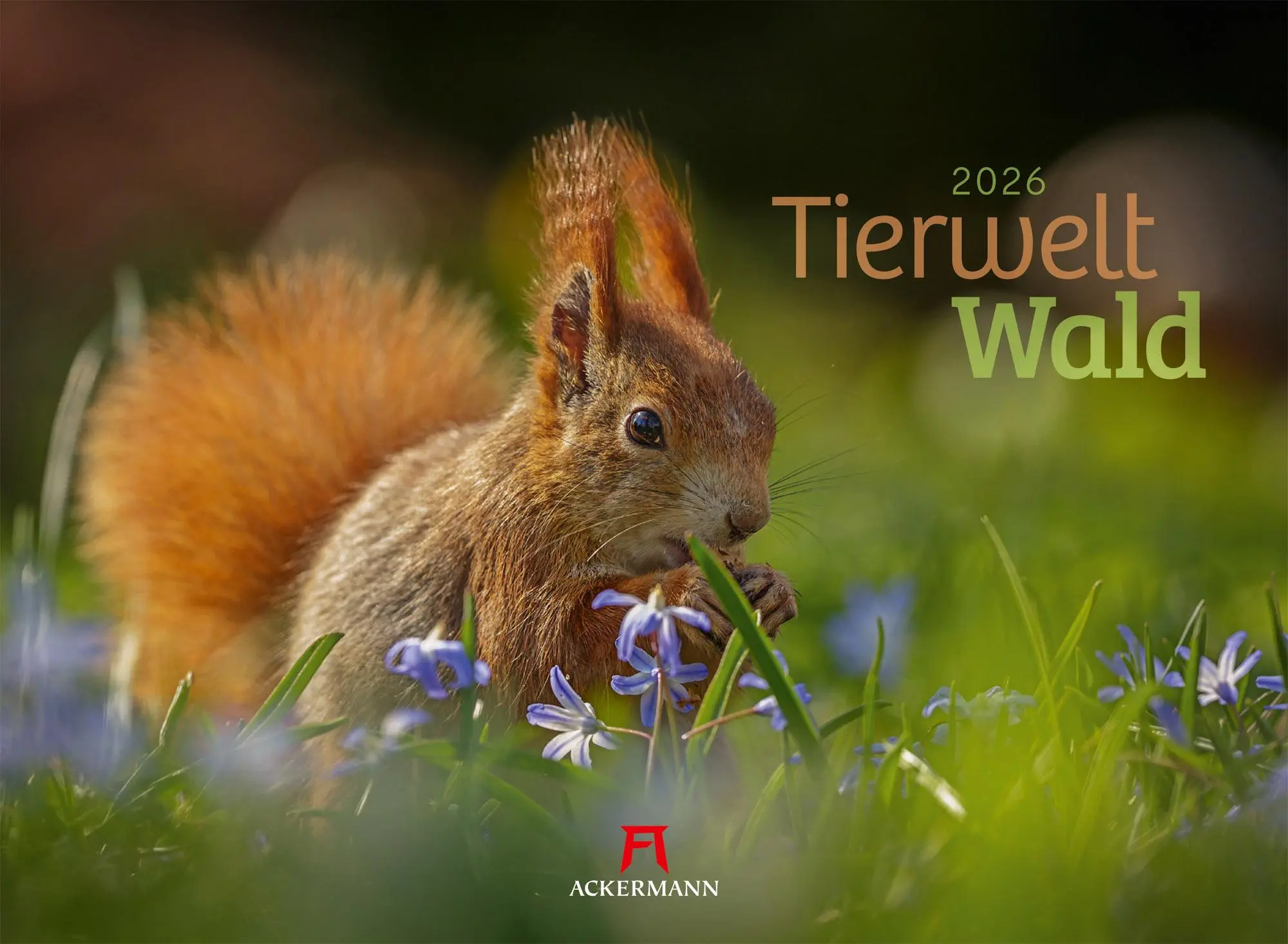 Cover: 9783838426822 | Tierwelt Wald Kalender 2026 | Ackermann Kunstverlag GmbH | Kalender