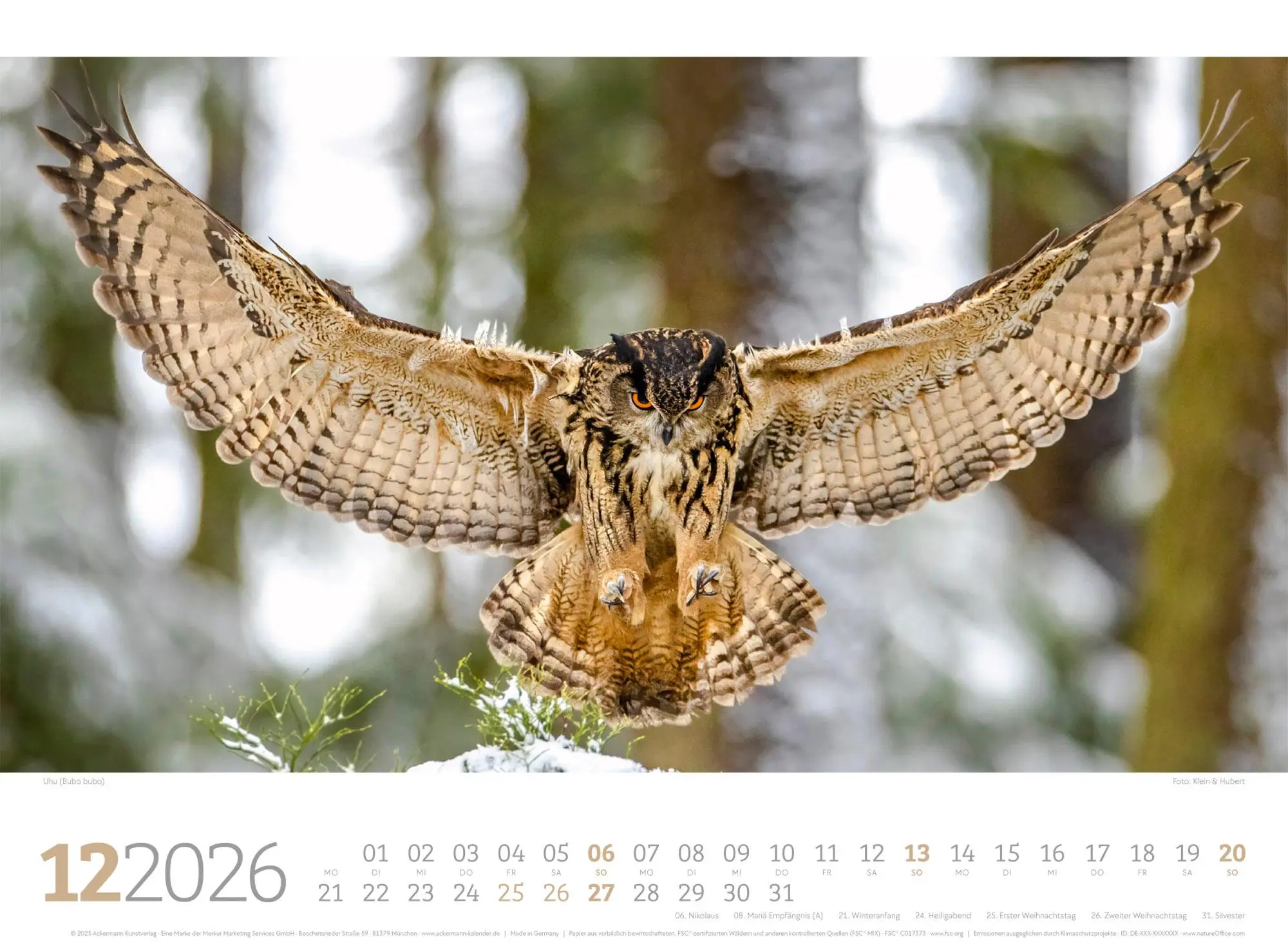 Bild: 9783838426822 | Tierwelt Wald Kalender 2026 | Ackermann Kunstverlag GmbH | Kalender