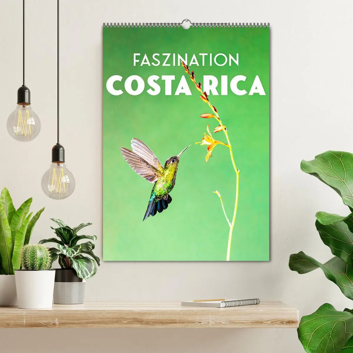 Bild: 9783516356922 | Faszination Costa Rica (Wandkalender 2026 DIN A2 hoch), CALVENDO...