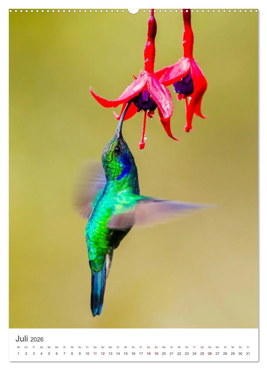Bild: 9783516356922 | Faszination Costa Rica (Wandkalender 2026 DIN A2 hoch), CALVENDO...