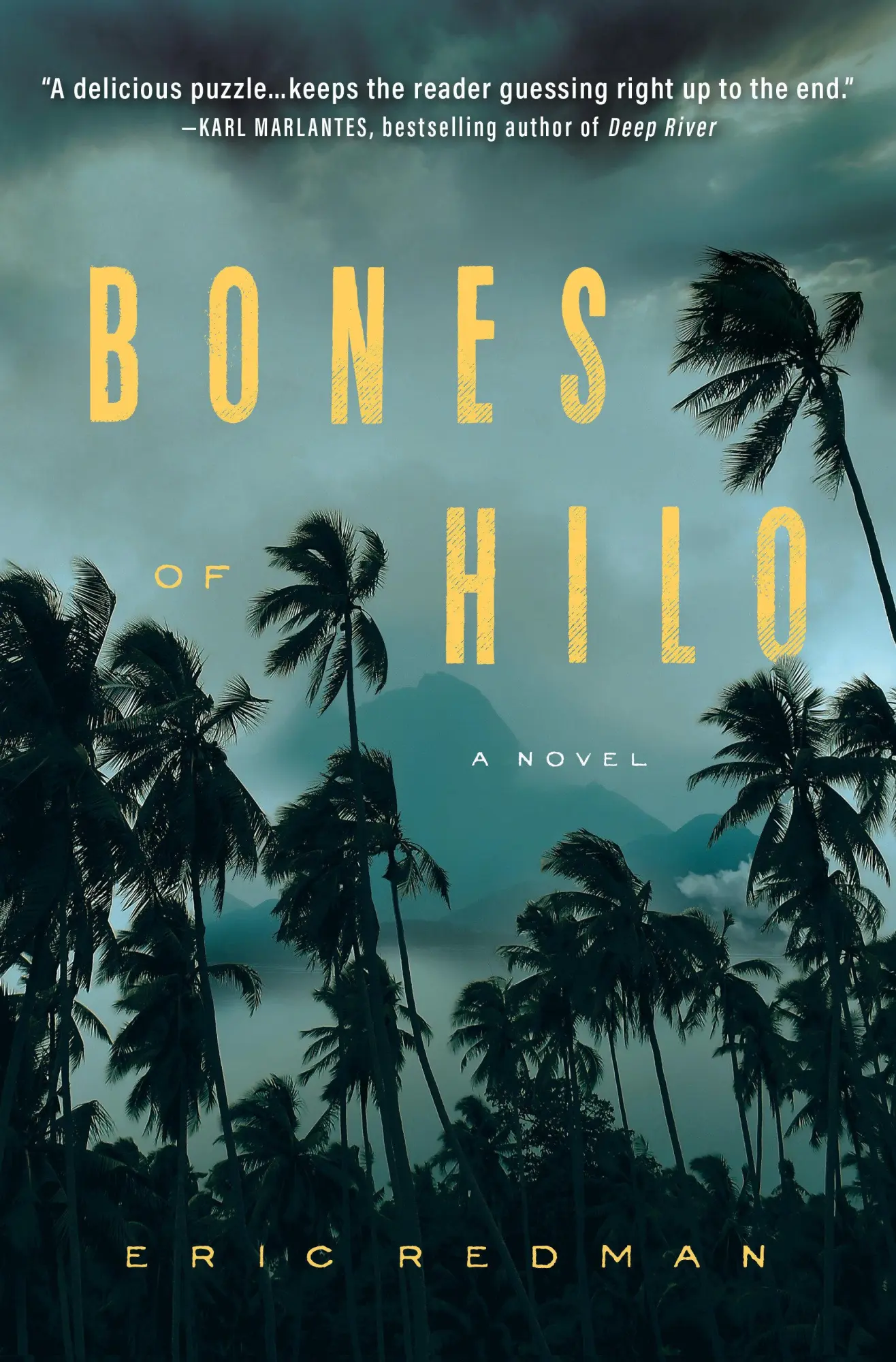 Cover: 9781643857022 | Bones of Hilo | Eric Redman | Buch | Einband - fest (Hardcover) | 2021