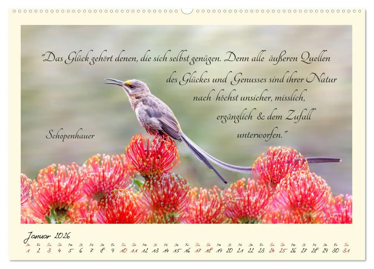 Bild: 9783457777022 | Glücksmomente Glücks-Zitate zu Fotos der großartigen...