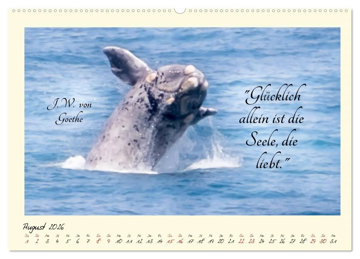 Bild: 9783457777022 | Glücksmomente Glücks-Zitate zu Fotos der großartigen...