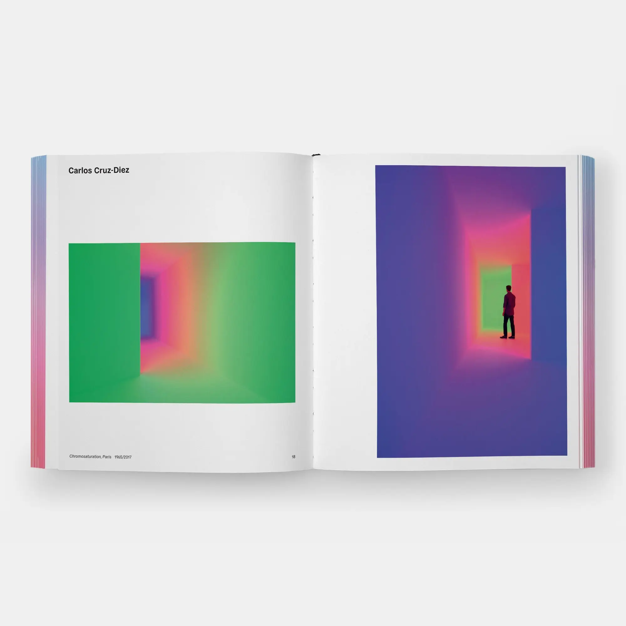 Bild: 9781580937122 | Rainbow Dreams | Color and Light in Contemporary Art | by Edited
