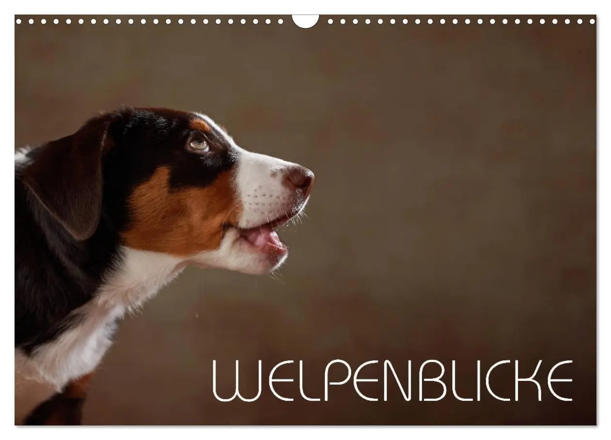 Cover: 9783435437122 | Welpenblicke (Wandkalender 2025 DIN A3 quer), CALVENDO Monatskalender