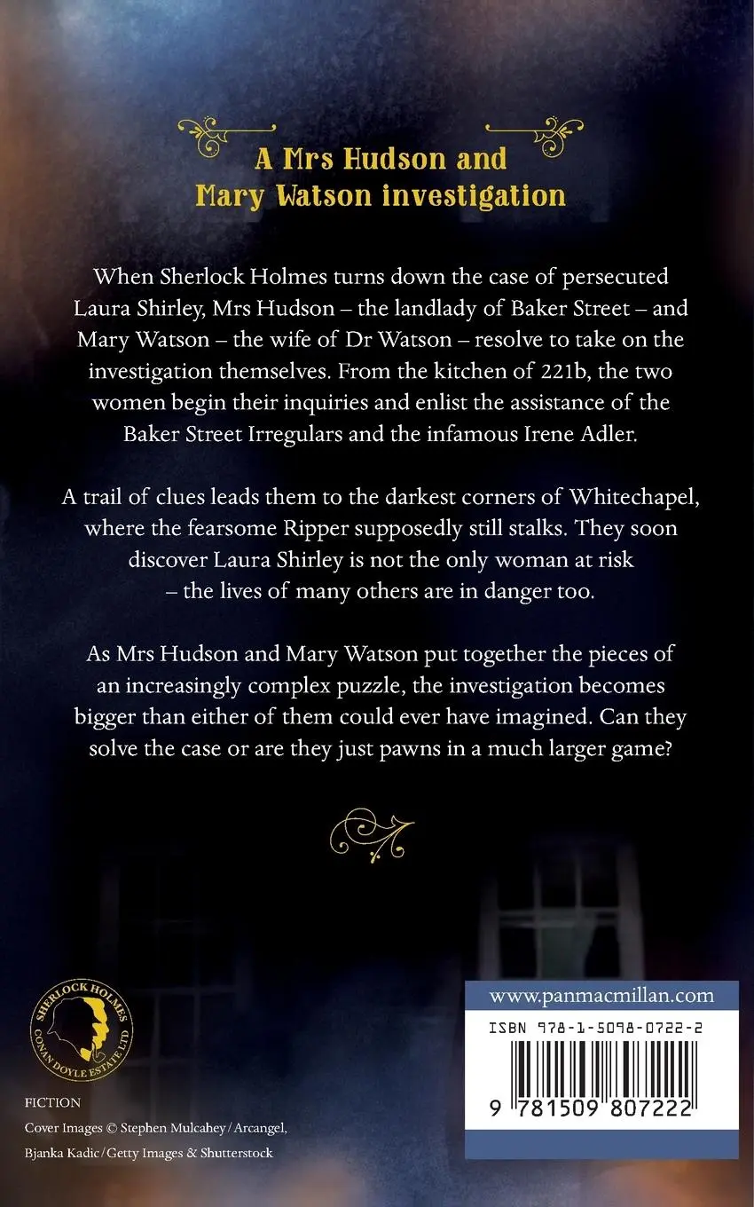 Rückseite: 9781509807222 | The House at Baker Street | Michelle Birkby | Taschenbuch | 338 S.