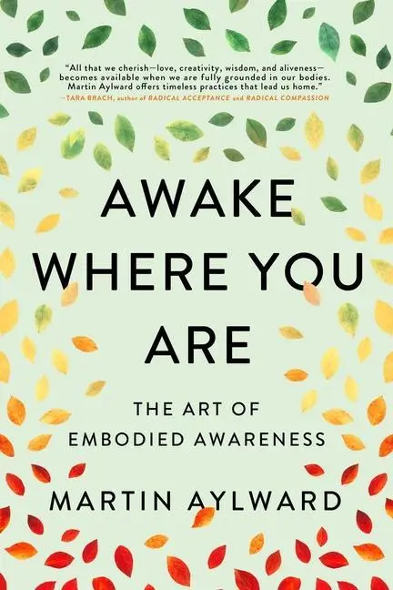 Cover: 9781614297222 | Awake Where You Are | The Art of Embodied Awareness | Martin Aylward