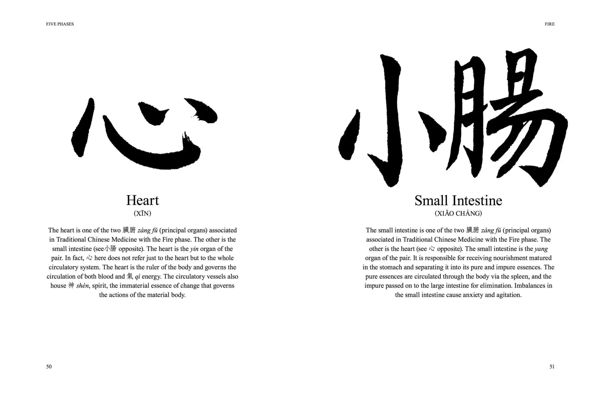 Bild: 9781782747222 | Chinese Astrology | Understanding Your Horoscope | James Trapp | Buch
