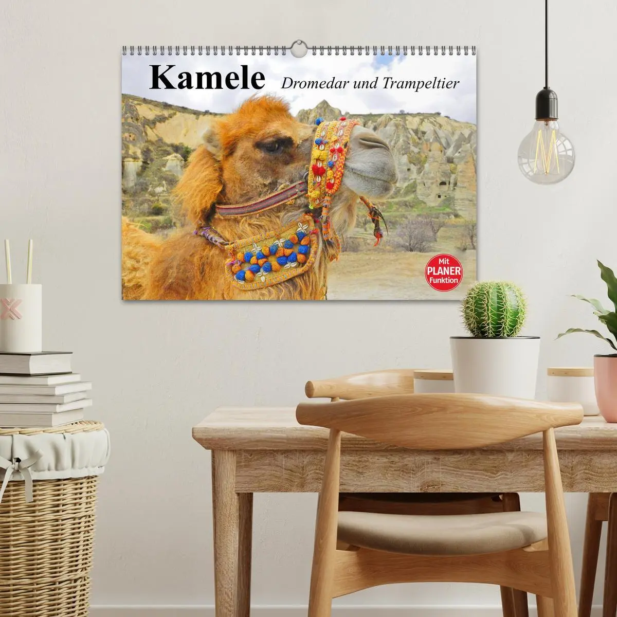 Bild: 9783457997222 | Kamele. Dromedar und Trampeltier (Wandkalender 2026 DIN A3 quer),...
