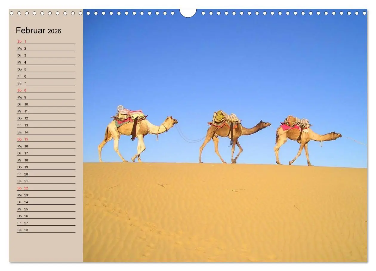 Bild: 9783457997222 | Kamele. Dromedar und Trampeltier (Wandkalender 2026 DIN A3 quer),...