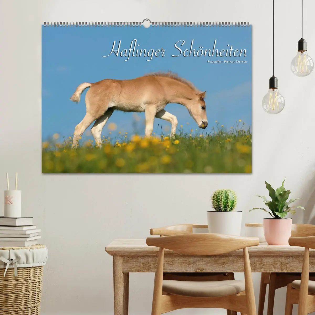 Bild: 9783516157222 | Haflinger Schönheiten (Wandkalender 2026 DIN A2 quer), CALVENDO...