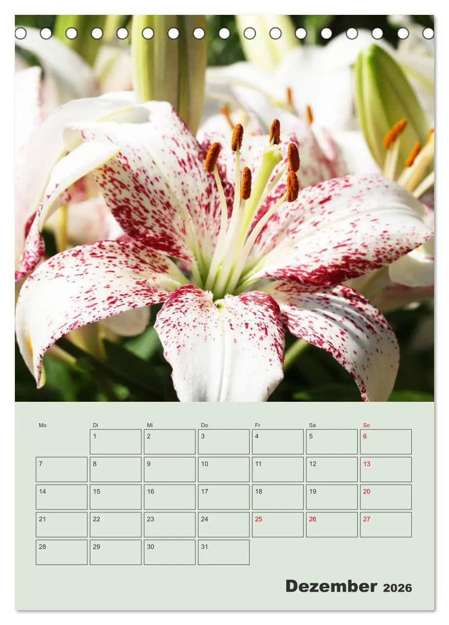 Bild: 9783516397222 | Lilien im Garten (Tischkalender 2026 DIN A5 hoch), CALVENDO...